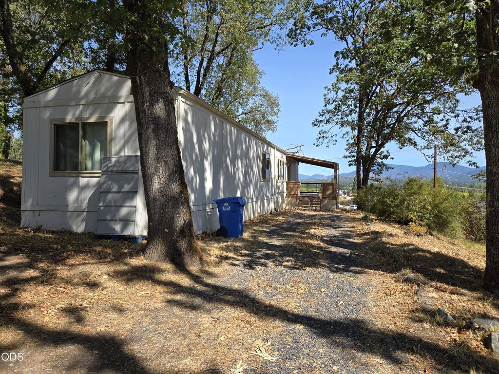 Picture 31