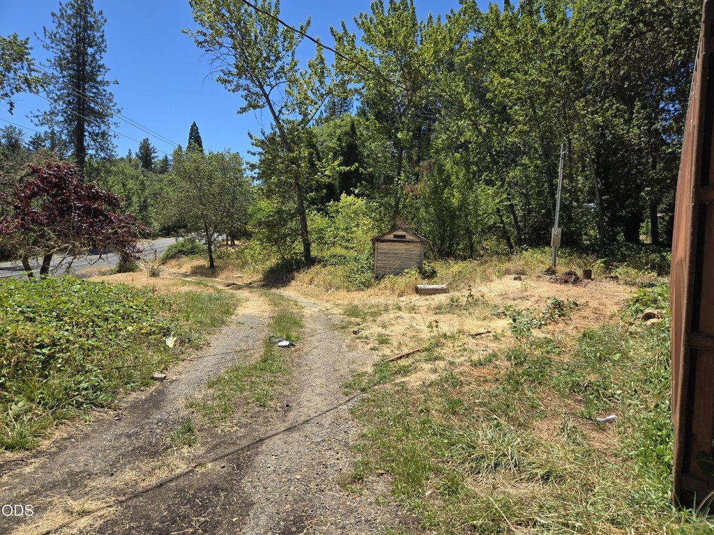 Picture 21