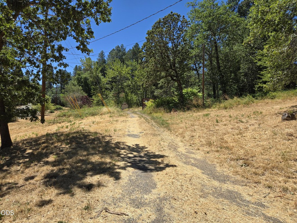 Picture 20