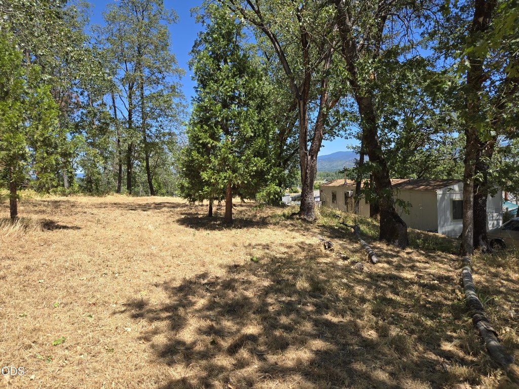 Picture 23