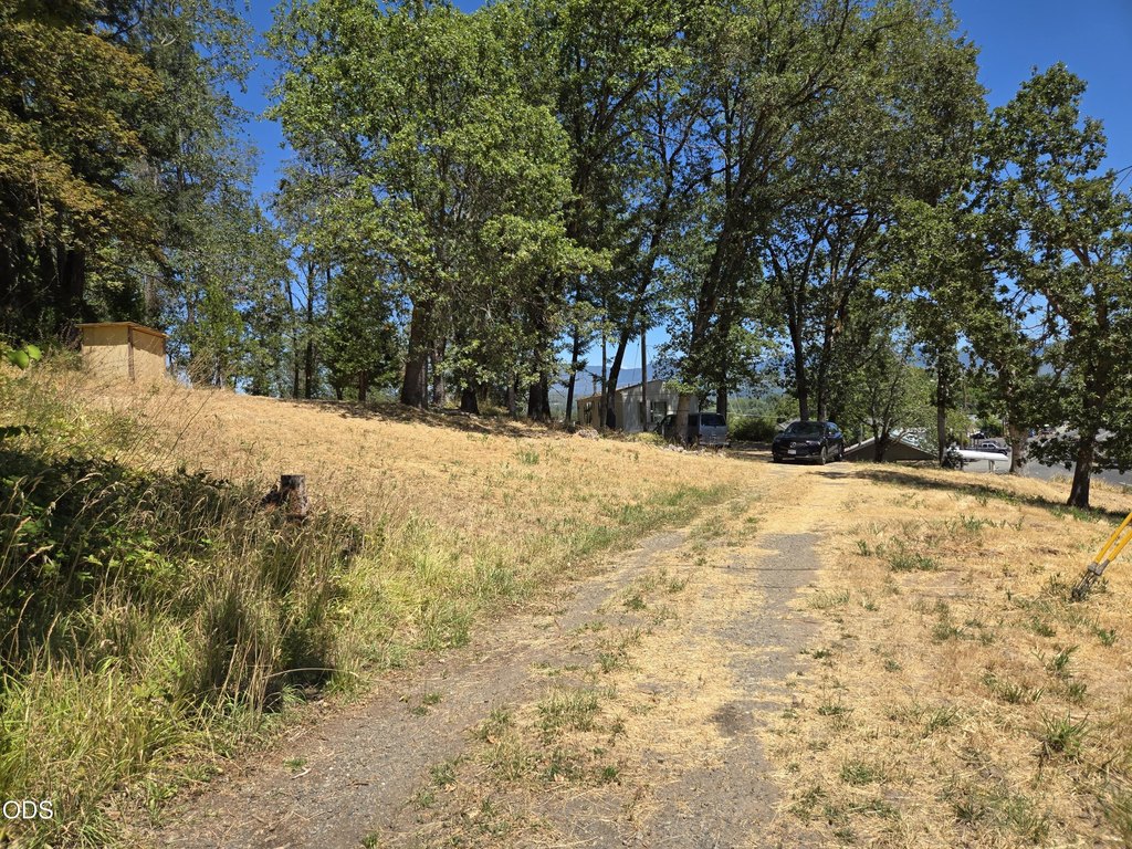 Picture 22