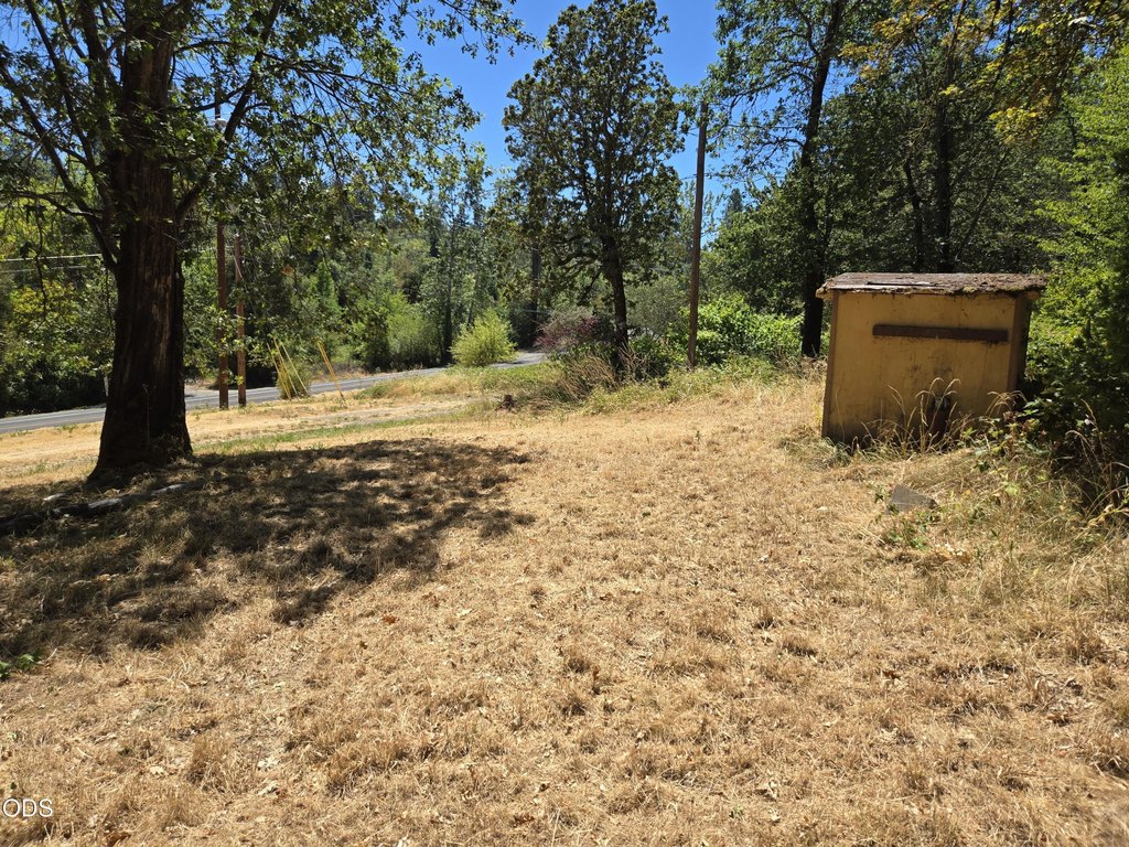 Picture 25