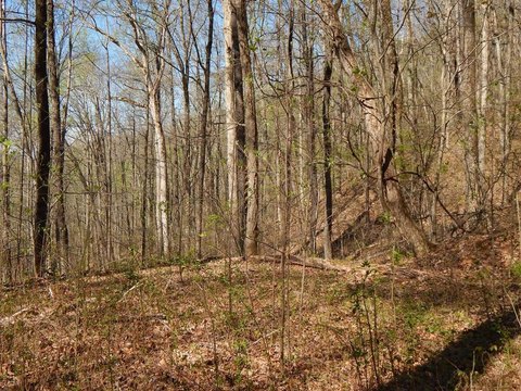 Hayesville Vacant Lot with Views