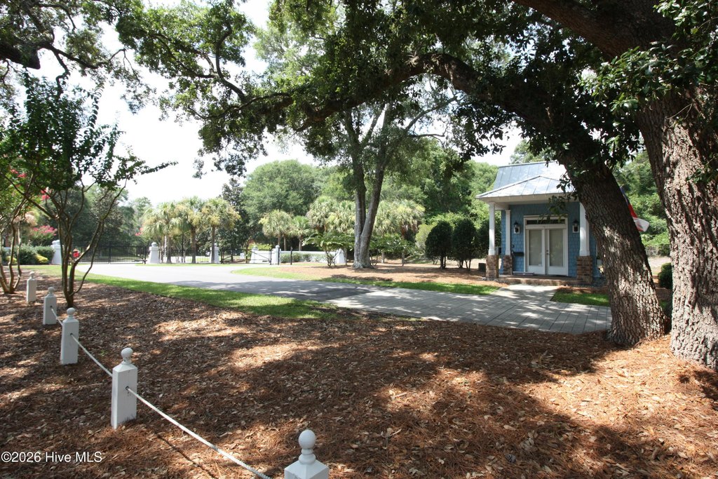 Picture 36