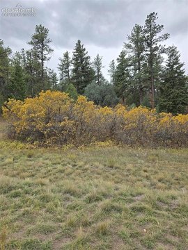 Land, Larkspur, CO
