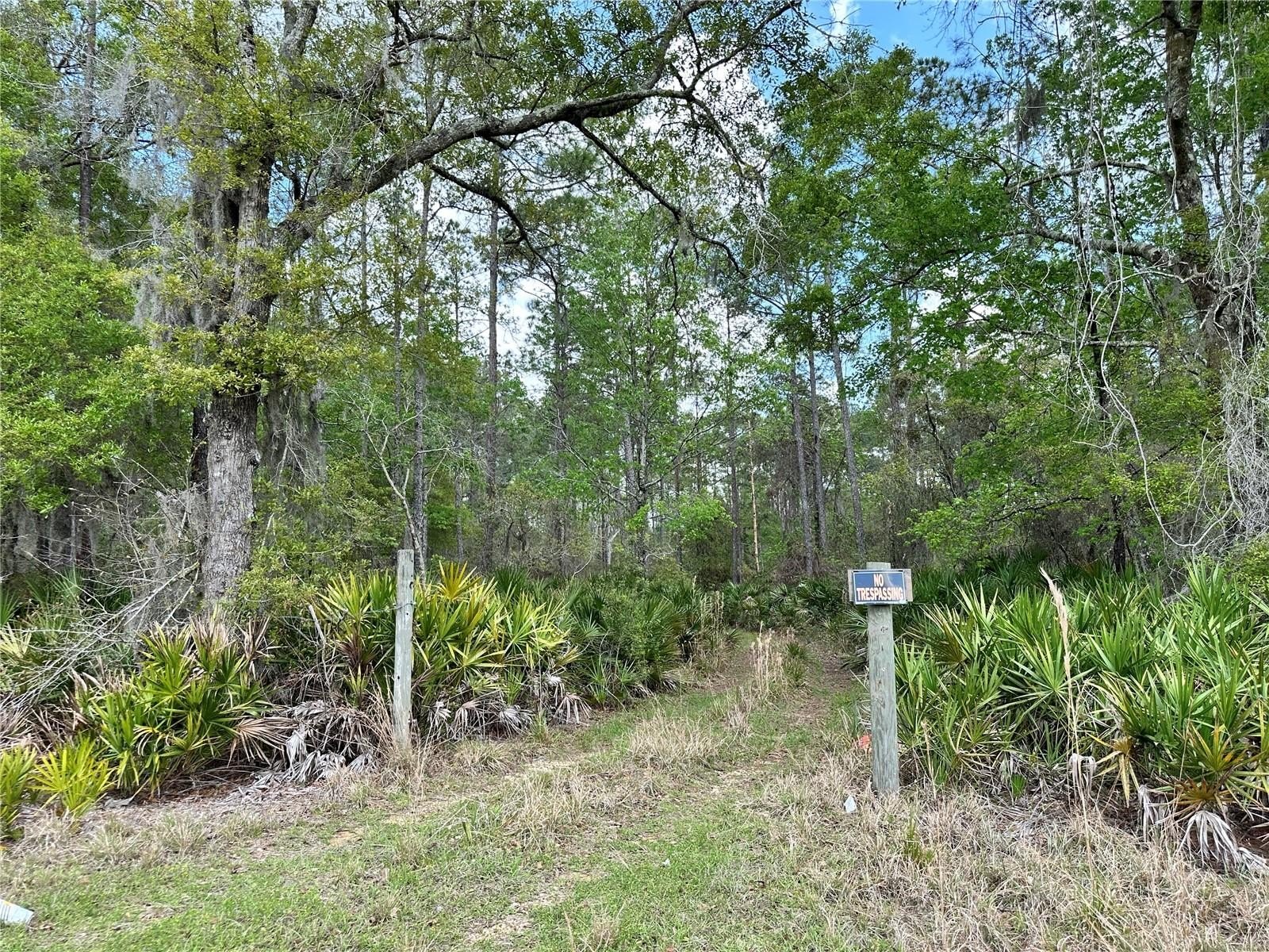 Inglis Land on Highway 19