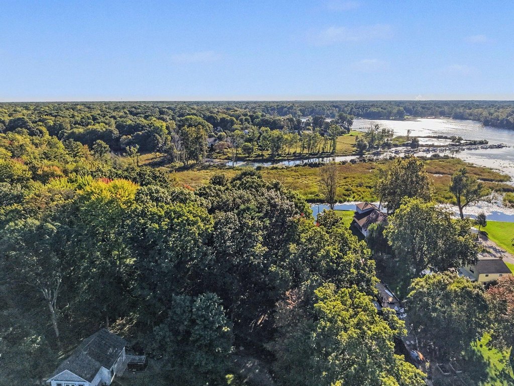 Picture 7