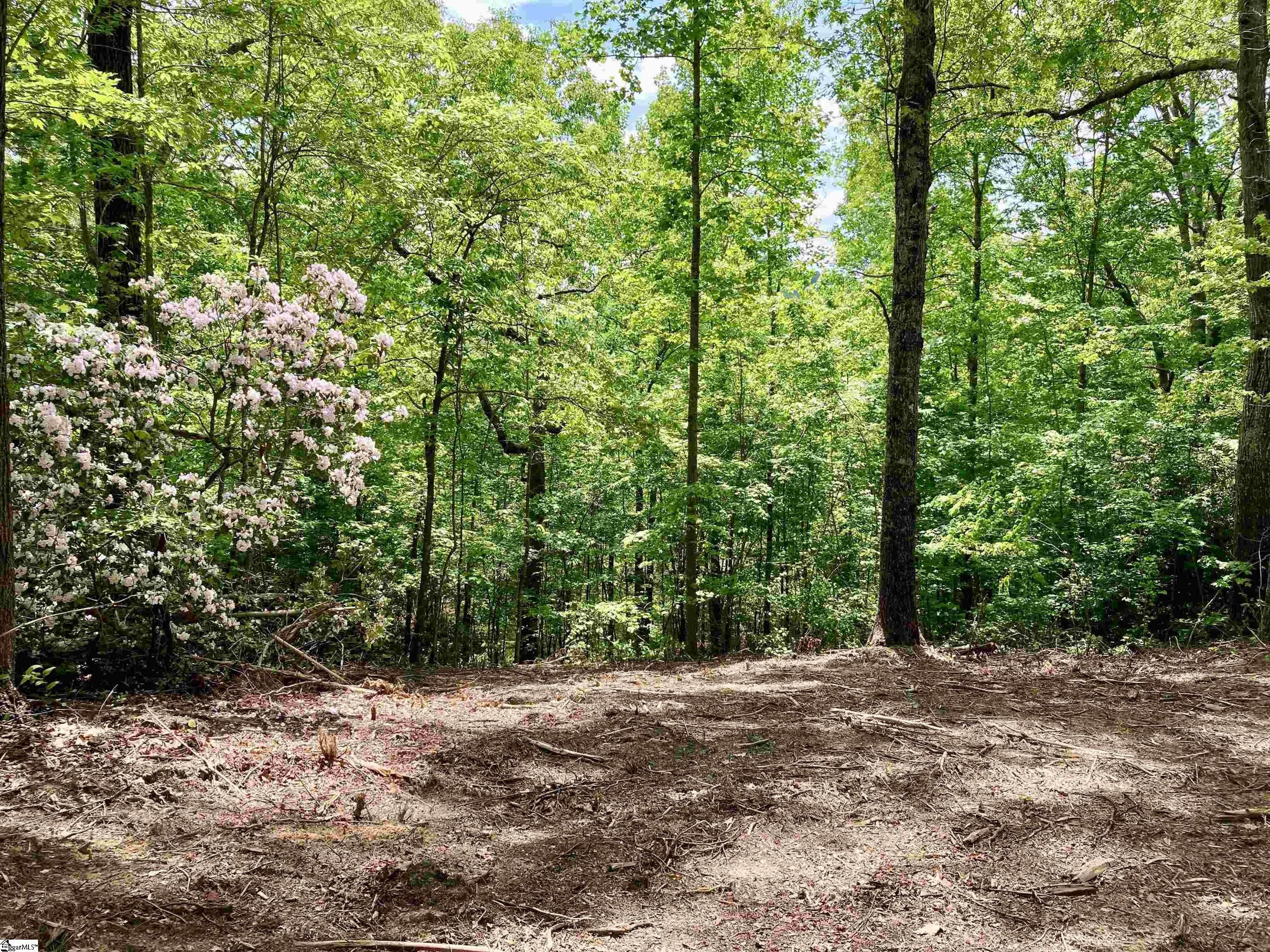 Mountain Homesite in Gated Community