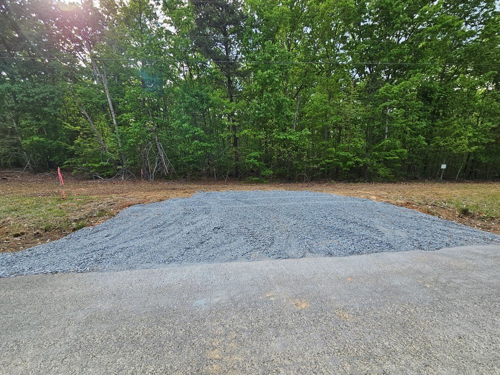 Picture 3