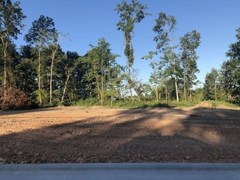 Residential Land in Springfield, MO