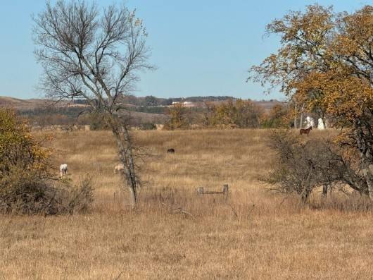 Bismarck Farmland Estate Opportunity