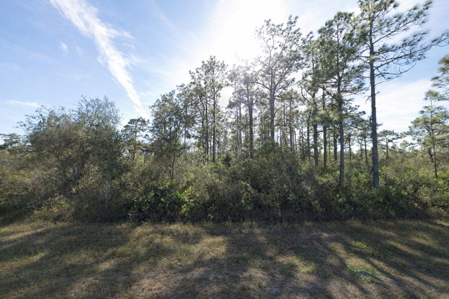 Residential Lot in Golfing Community