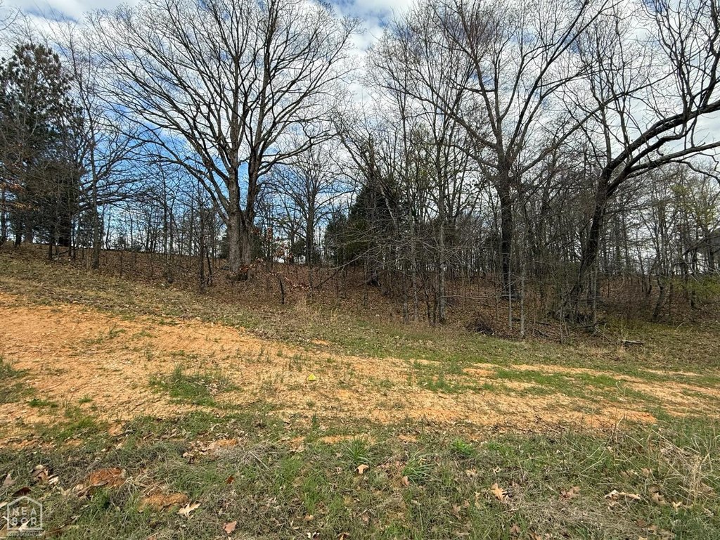 Picture 6