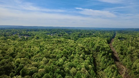 Timbered Waterfront Hunting Tract