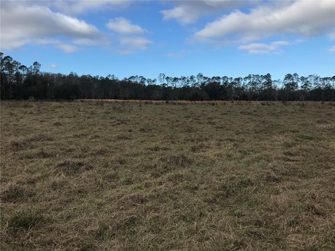 Cleared Agricultural Land