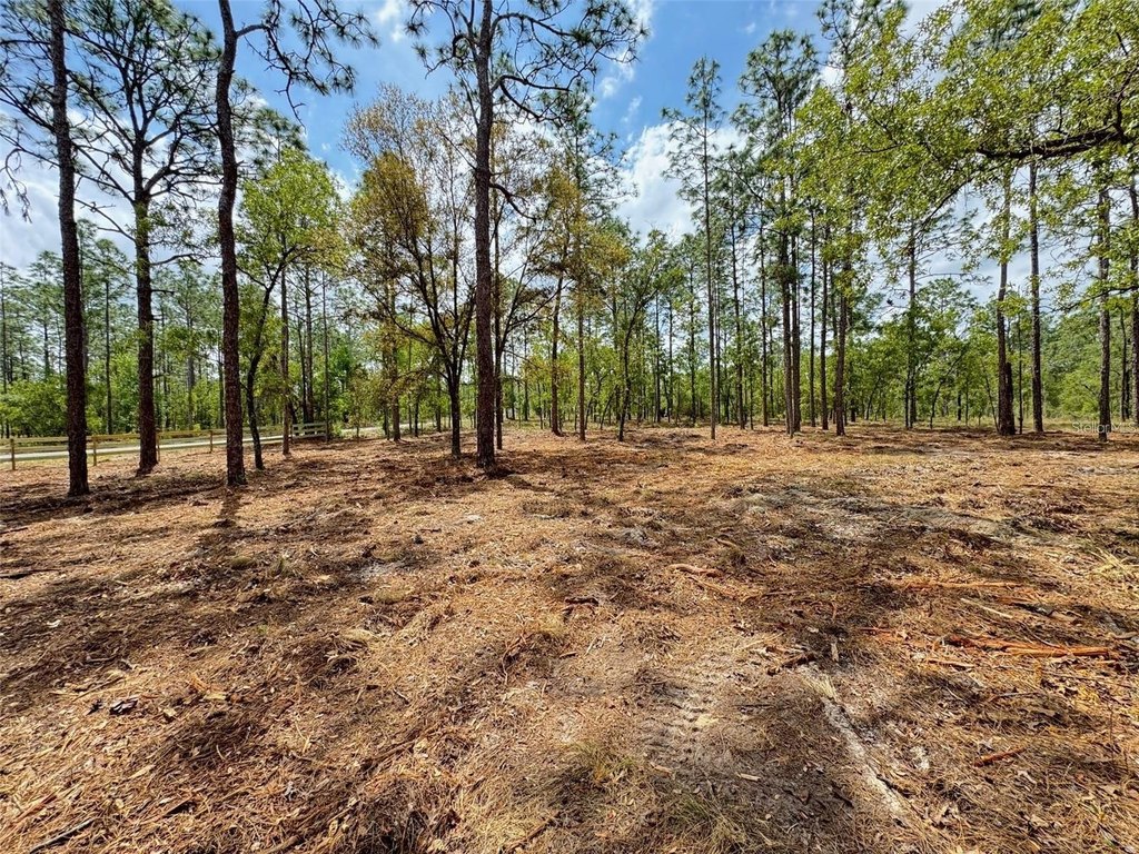 Picture 5