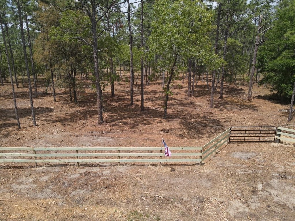Picture 8