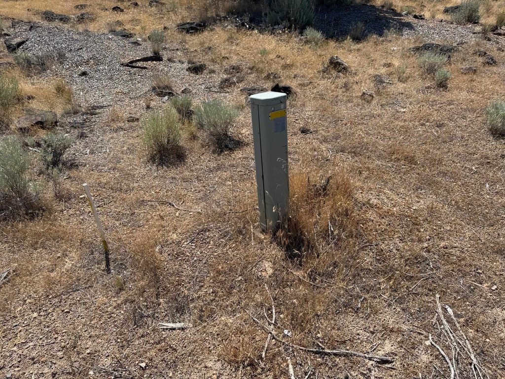 Picture 3