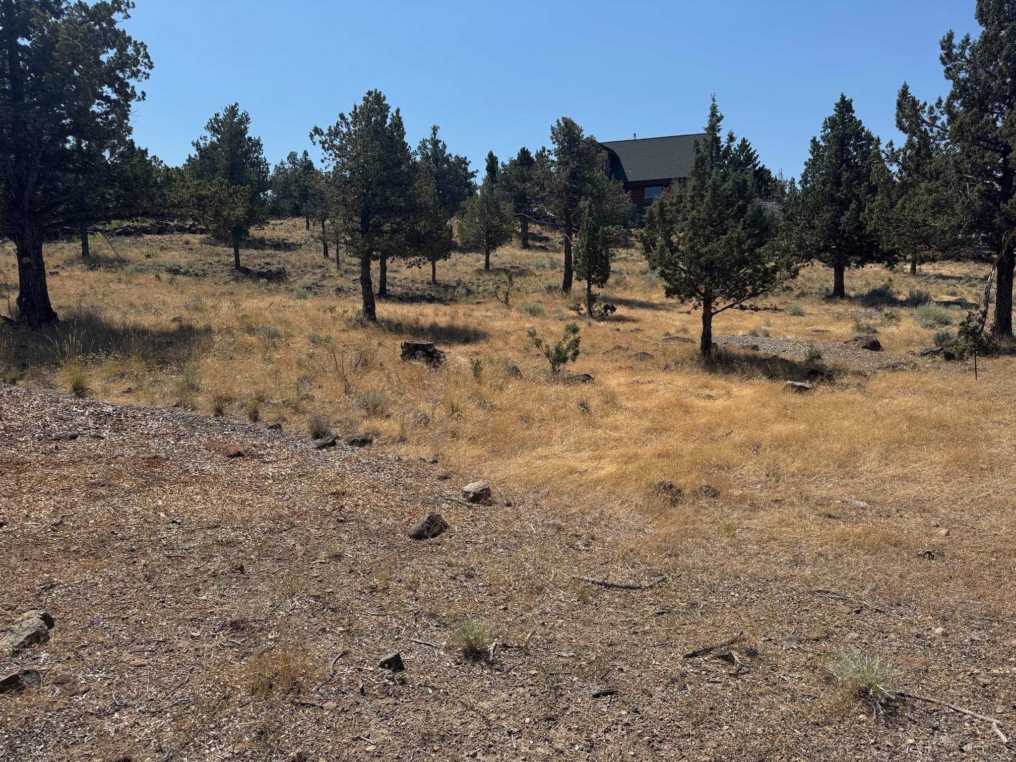 Land with Mountain Views