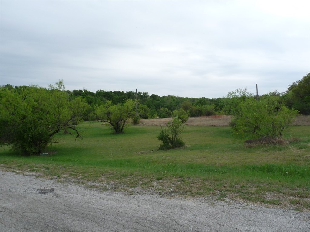 Picture 4