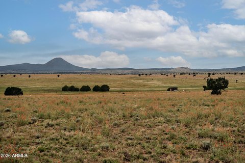 Land, Ash Fork, AZ