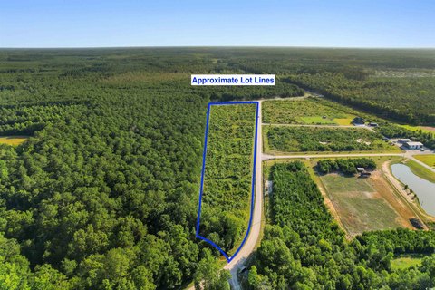 Cleared Land in Conway, SC