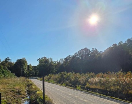 Cleared Land in Conway, SC