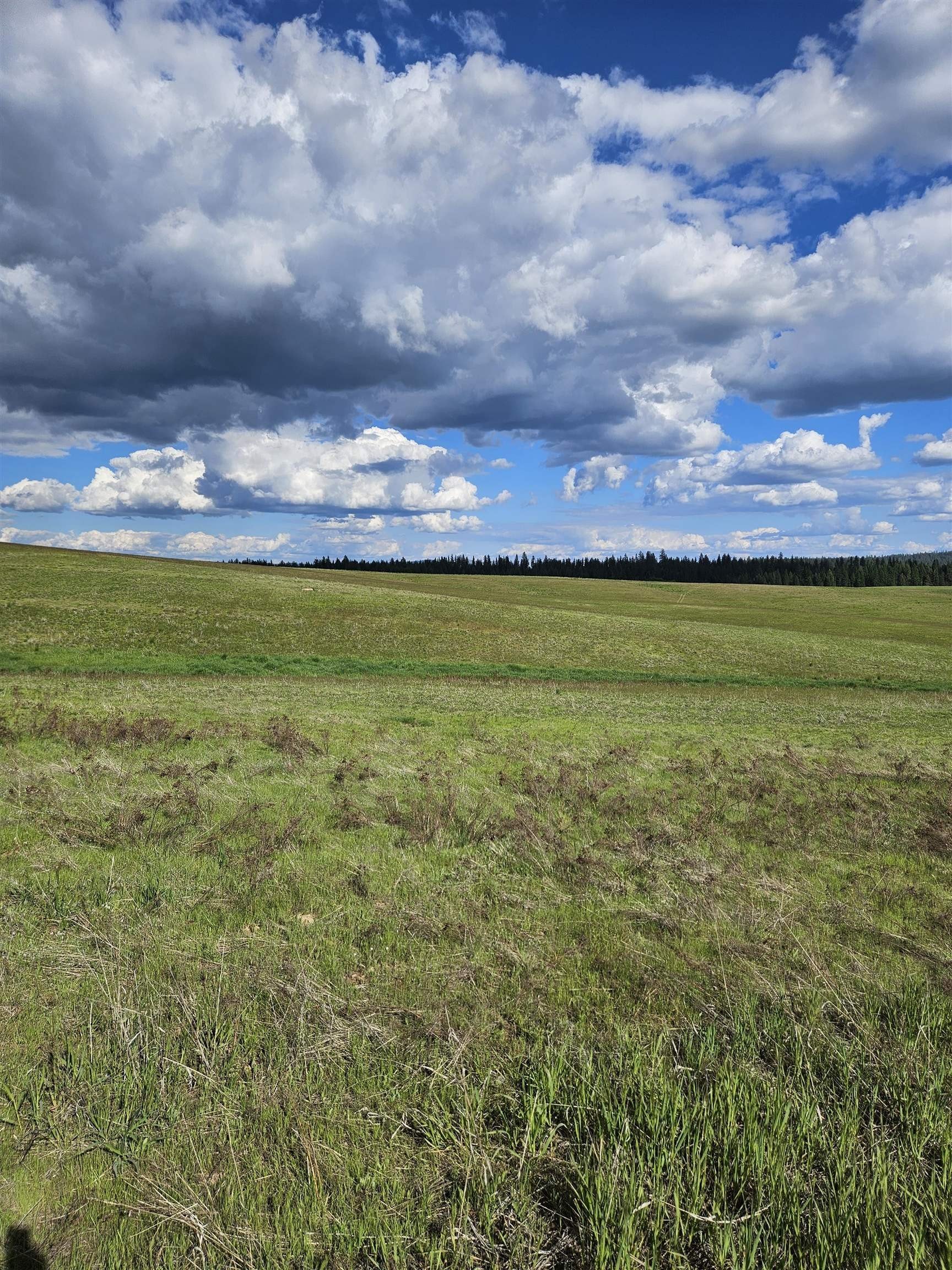 22-Acre Corner Lot in Springdale