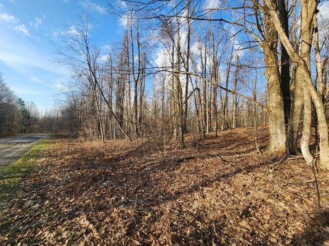 Wooded Lot in Alba, MI