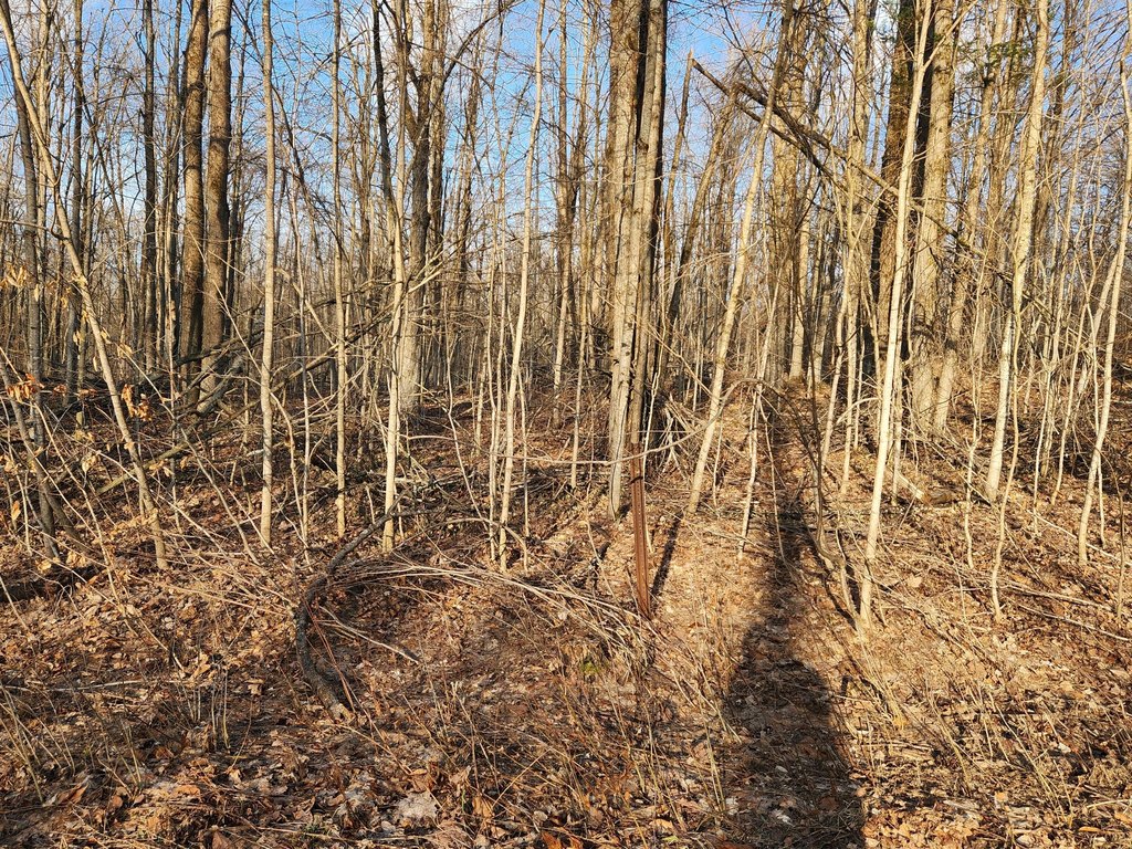 Picture 2