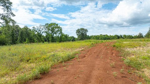 Henderson Land with Creek