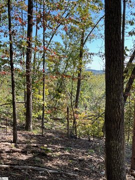 LAND - Marietta, SC