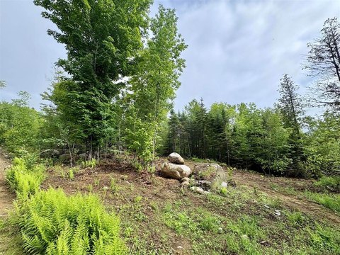 Recreational Homesite in Subdivision