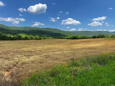 Unrestricted Land Bordering Caney Creek