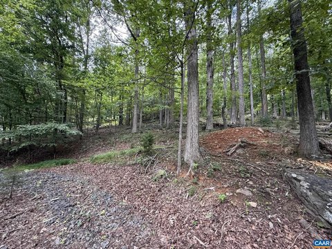 LAND, NELLYSFORD, VA