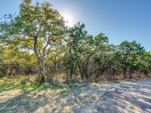 Texas Hill Country Land Opportunity