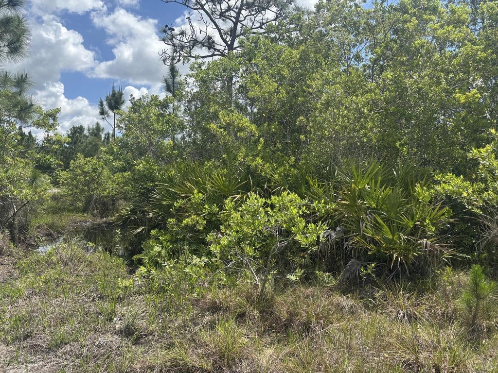 Picture 2