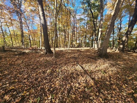 Wooded Lots in Lake Community