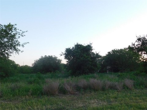 LAND - Alice, TX