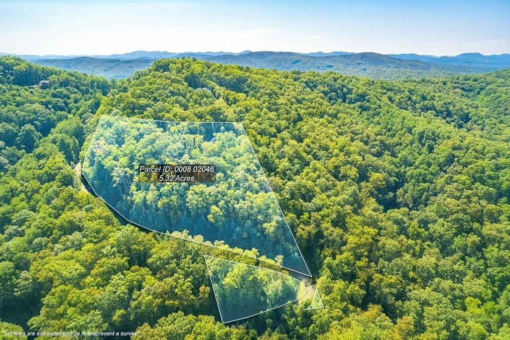 Blue Ridge Mountain View Lot