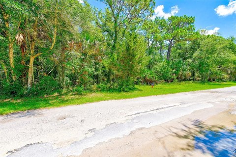 Land, CRYSTAL RIVER, FL