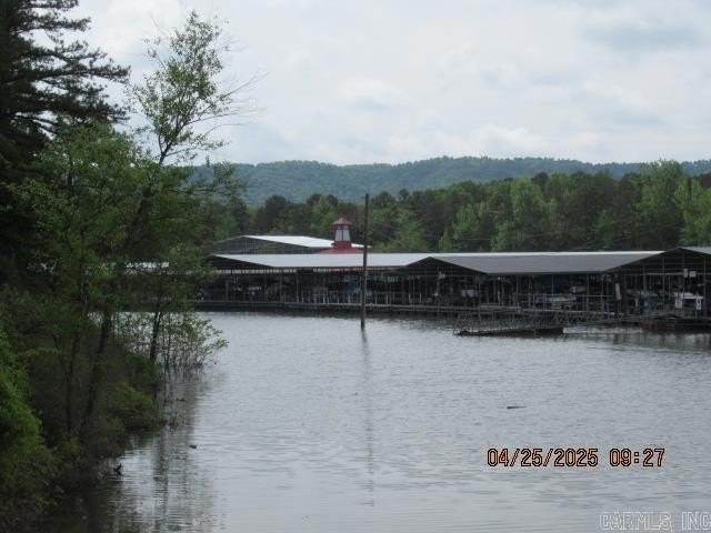 Picture 29