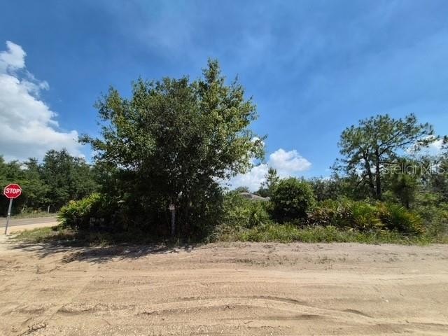 Picture 5