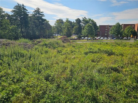 Cleared Building Lot in Oneonta