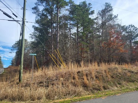 Wooded Lot Near Lake Sinclair