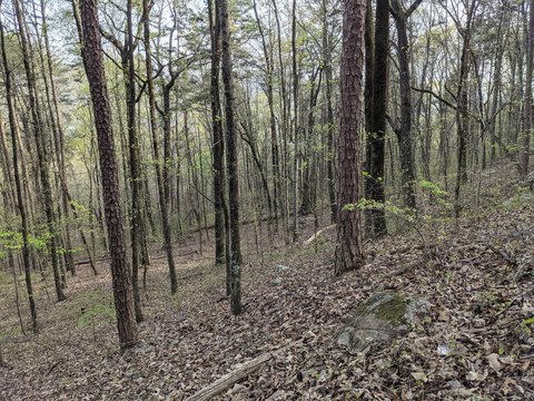 Land Near Cumberland State Park