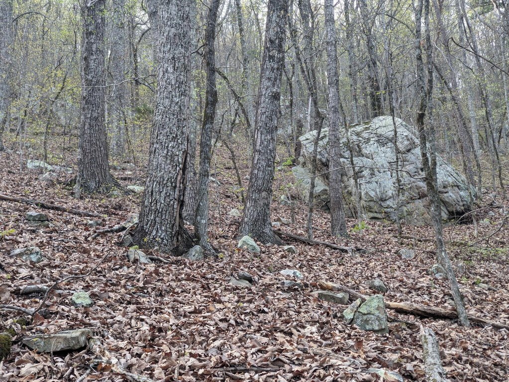 Picture 4