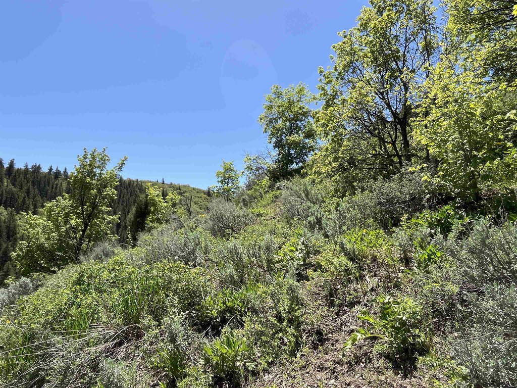 Picture 38