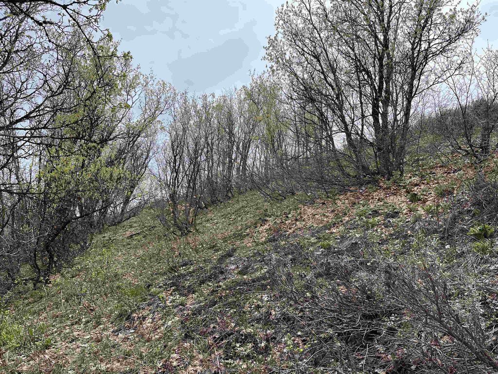 Picture 25