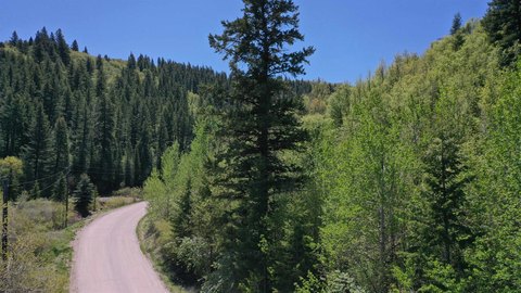 Wooded Mountain Building Lots
